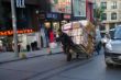 DSC03663.JPG