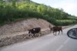 DSC03996.JPG